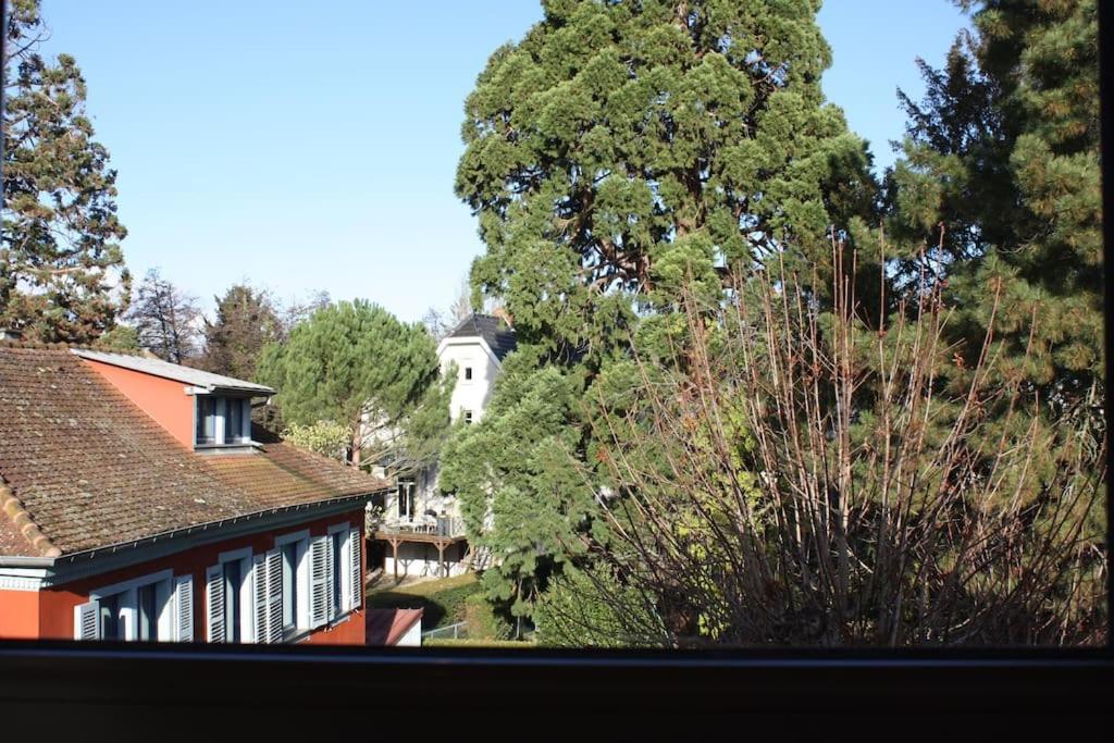 Superb Apt- Garden- 3 Parkings, Near Petite Venise ! Colmar Dış mekan fotoğraf